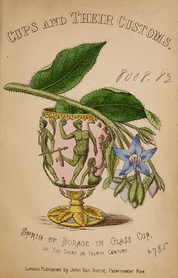 Cups and their customs.