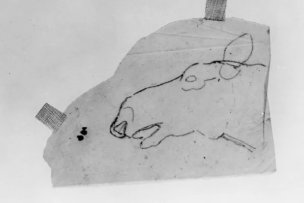 Tracing of a Horse's (?) Head