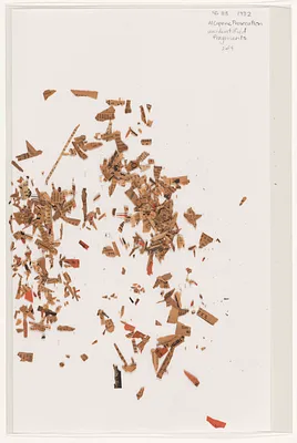 p. 7