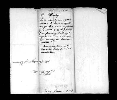 p. 51