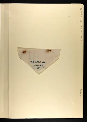 p. 19