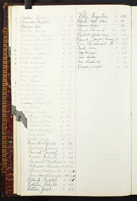 p. 20