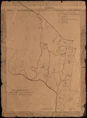 Tom Swamp Block cutting operations, TS I-VI, 1908 - 1923