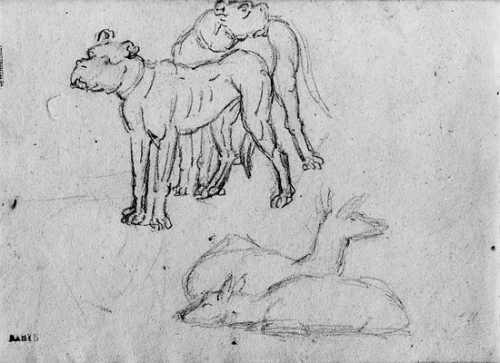Sketch of Dogs and Deer