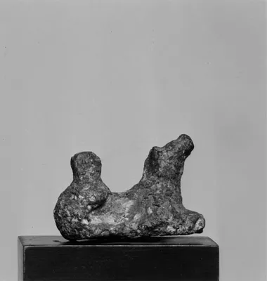 Quadruped