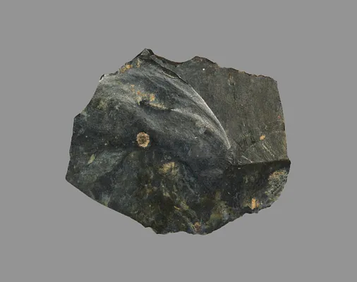 Sickle Blade