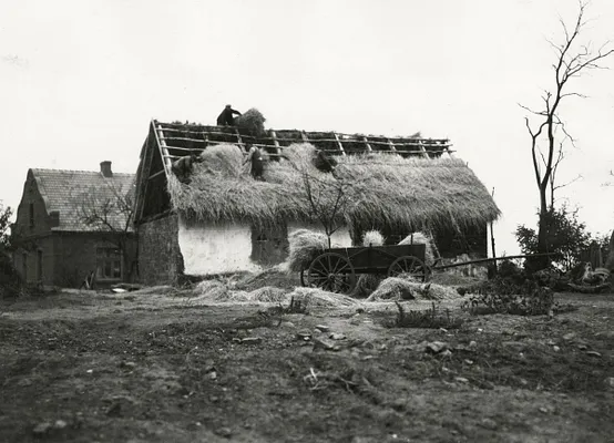 1946