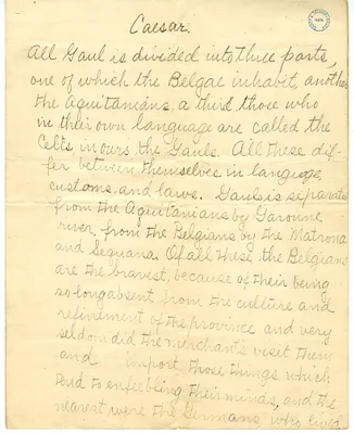 Essay on Julius Caesar by Bess Wallace