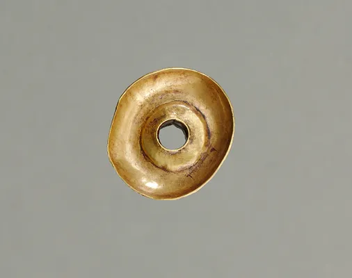 Ear Ornament(?)