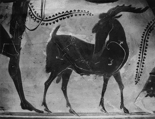 Amphora with Scenes of Dionysus
