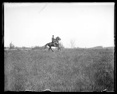 Unidentified horse and rider