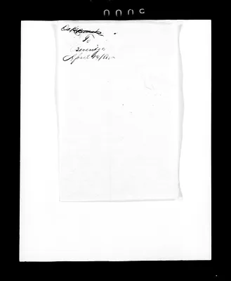 p. 20