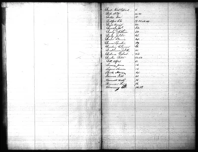 p. 4