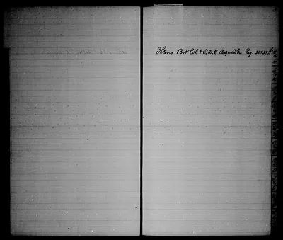 p. 7