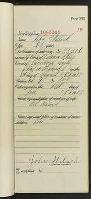 p. 45