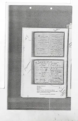p. 17
