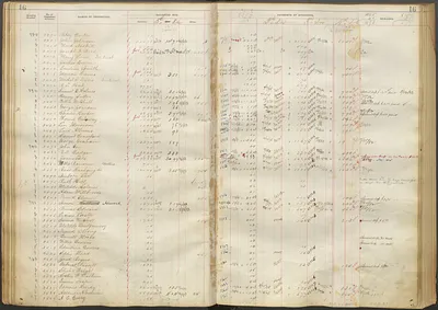 p. 19