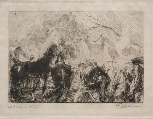 Horse Market in Algiers