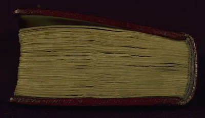 p. 8