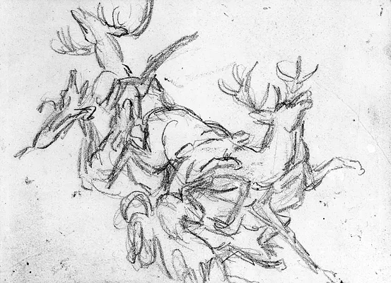 Sketch related to “Ten-point Deer Brought Down by Two Scottish Hounds”