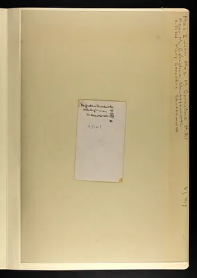 p. 5