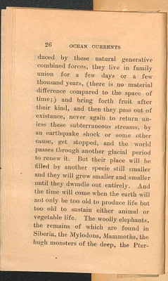 p. 33