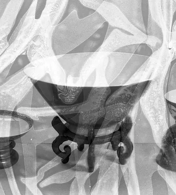 Monochrome Famille Rose Bowl