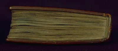 p. 7