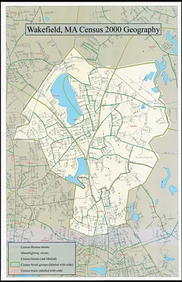 Census tract outline maps