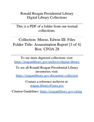 Assassination Report (3)