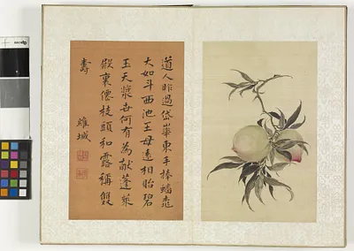 p. 24