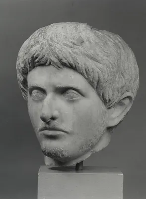 Male Portrait Head