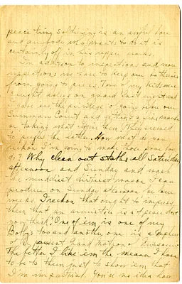 p. 4