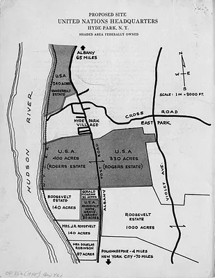 p. 7
