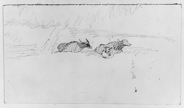 Sketch of Cows in a Landscape