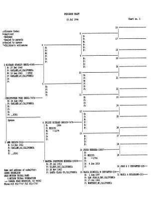 p. 13