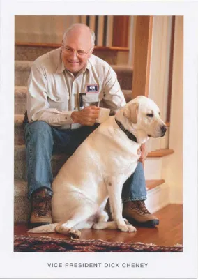 Baseball Cards - Dick Cheney