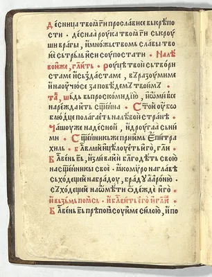 p. 6