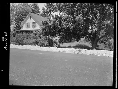 House, tree, and road