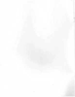 p. 29