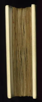p. 5