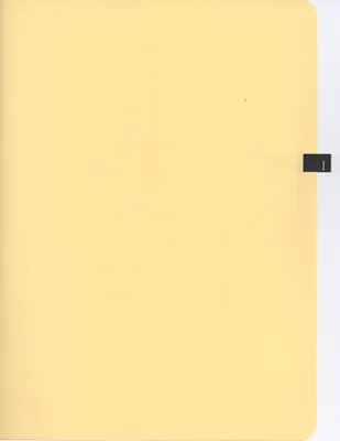 p. 46