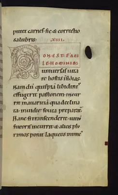 Unfinished inhabited initial N with dragon