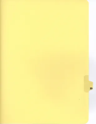 p. 21