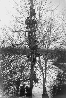 A bird's-eye view