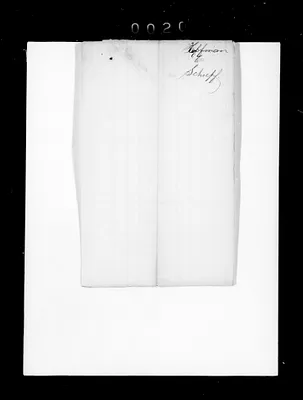p. 31