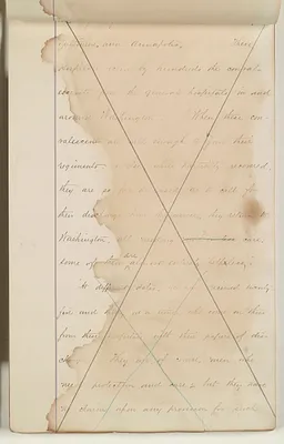 p. 7