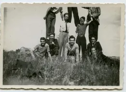 BVA 1007