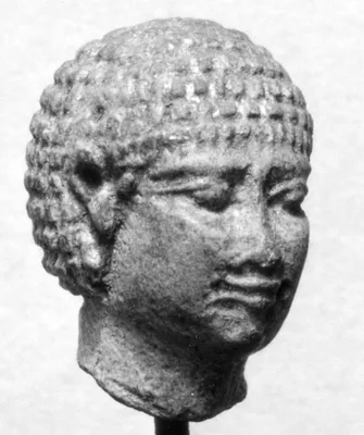 p. 6