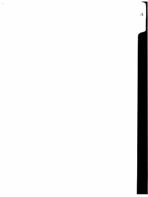 p. 41